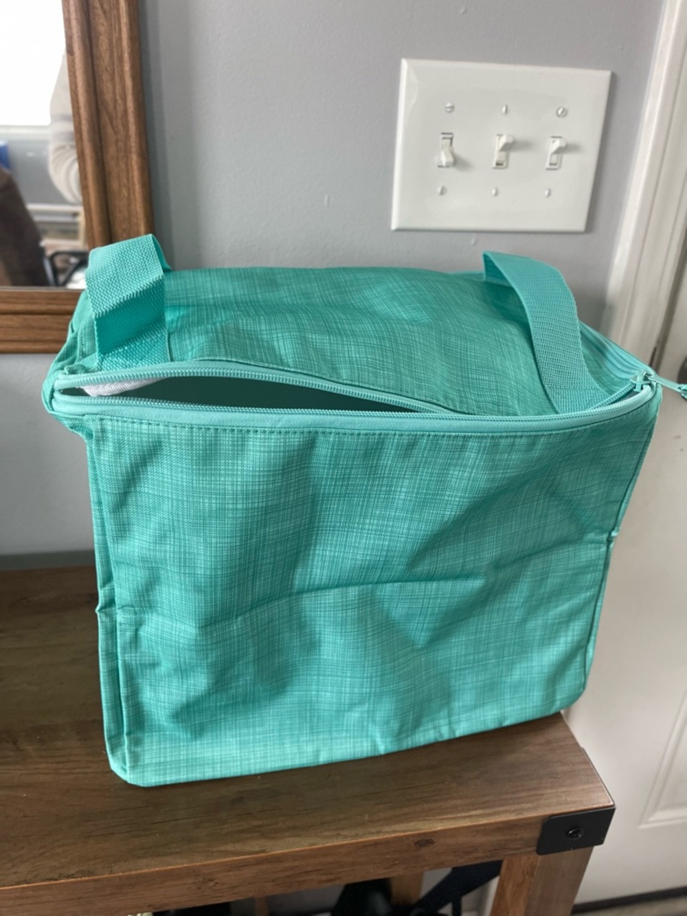 thirty-one Turquoise Organizer
